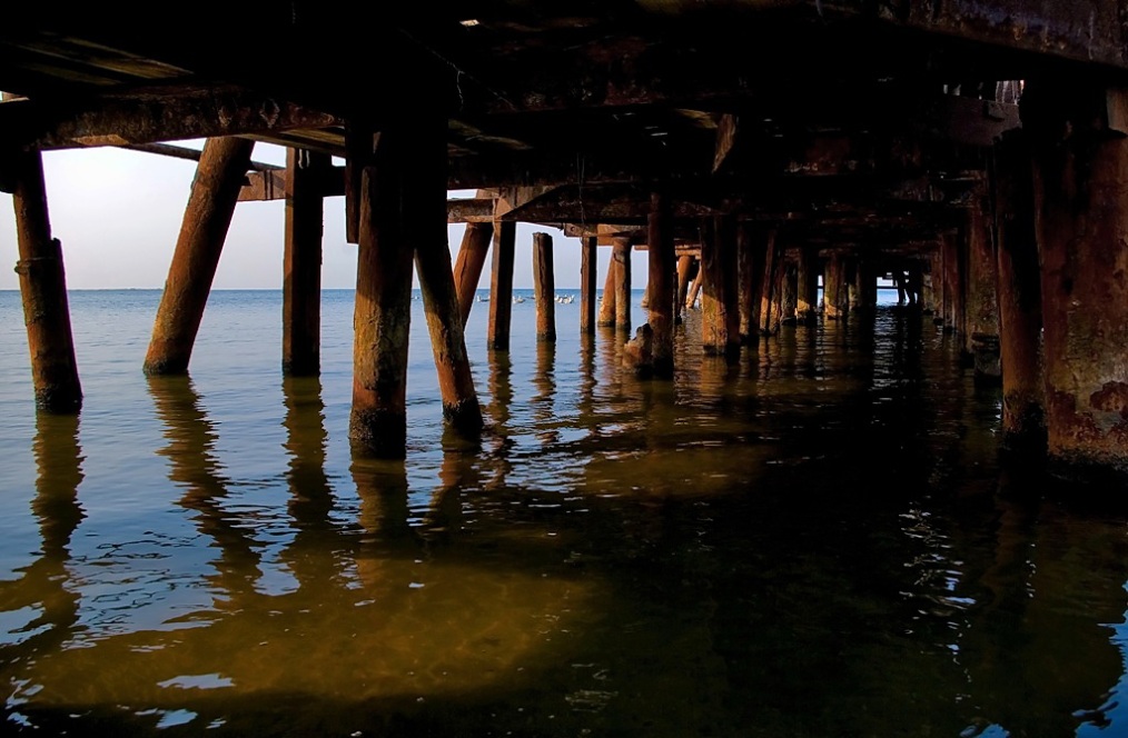 photo "***" tags: landscape, summer, water