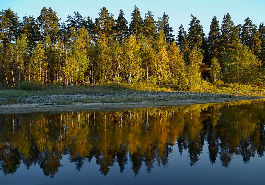 фото "Сентябрьские отражения вечера" метки: пейзаж, вода, лес