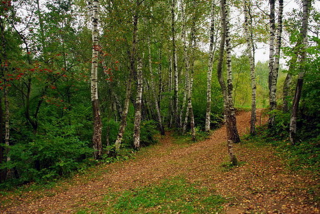 photo "***" tags: landscape, autumn