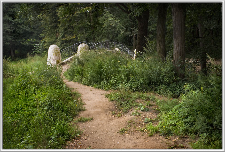 photo "Road to wood" tags: landscape, forest