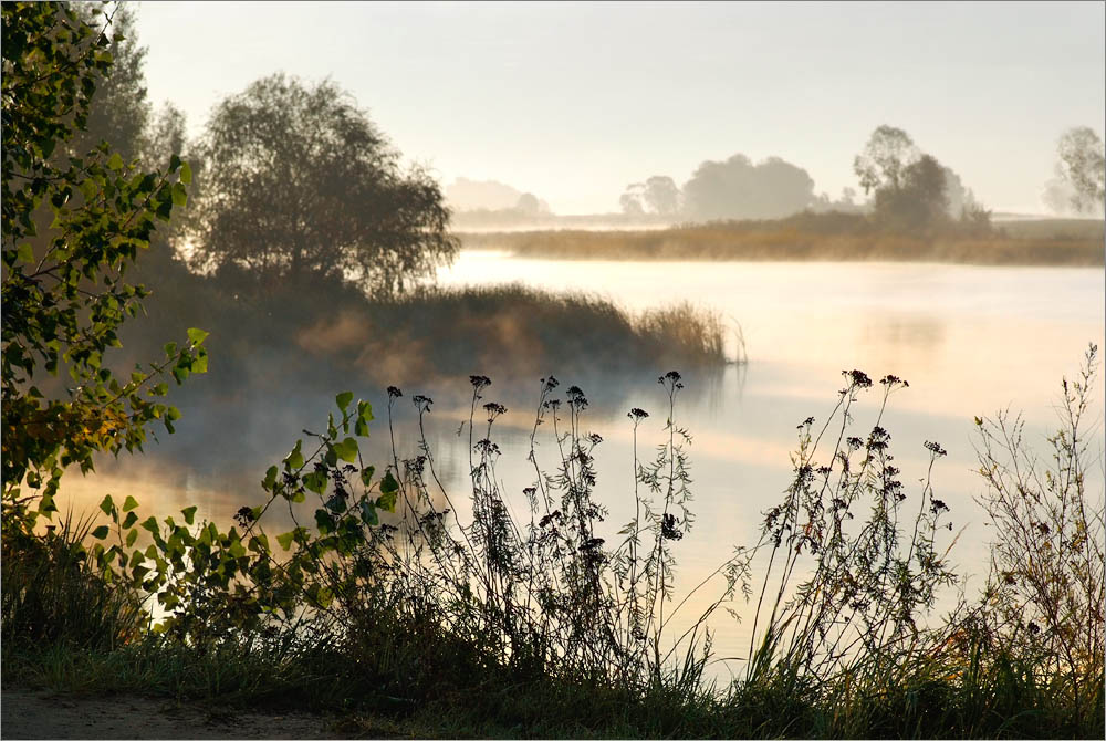 photo "On a dawn" tags: landscape, 