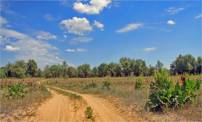 photo "***" tags: landscape, summer