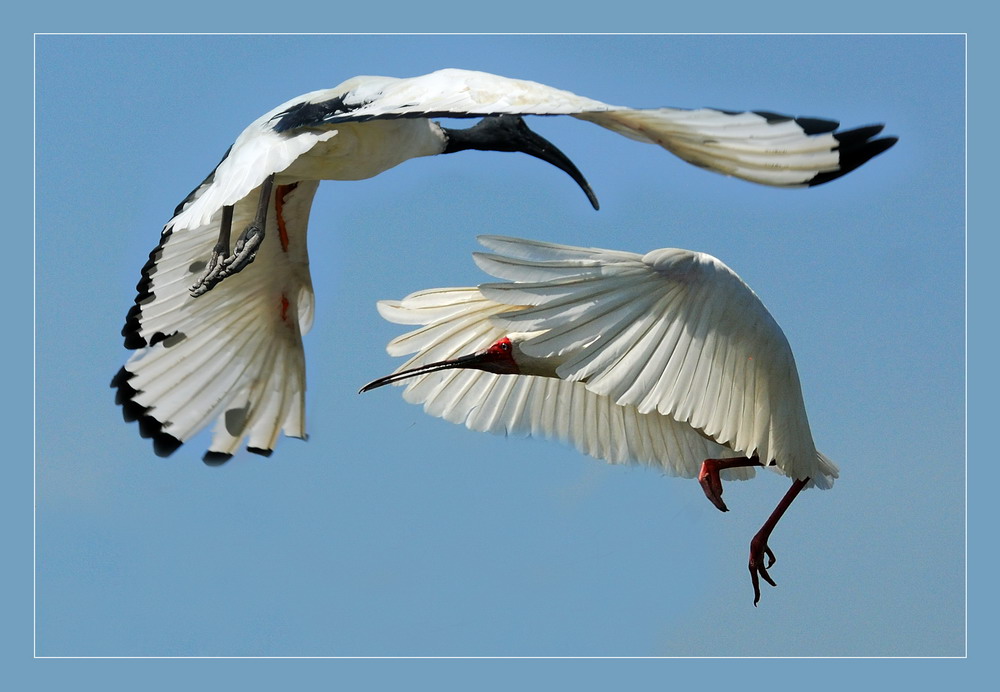 фото "***" метки: природа, 