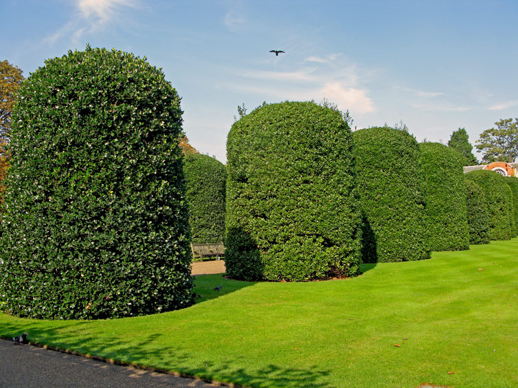 фото "Round Trees" метки: путешествия, Европа