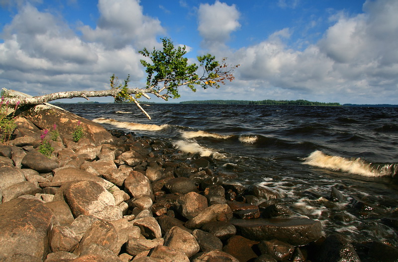 фото "На ветру" метки: пейзаж, вода, облака