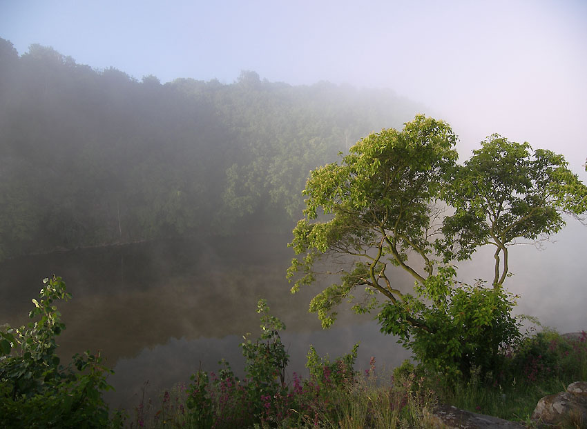 photo "***" tags: landscape, summer, water