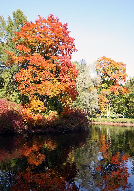 фото "Легенды осени" метки: пейзаж, вода, осень
