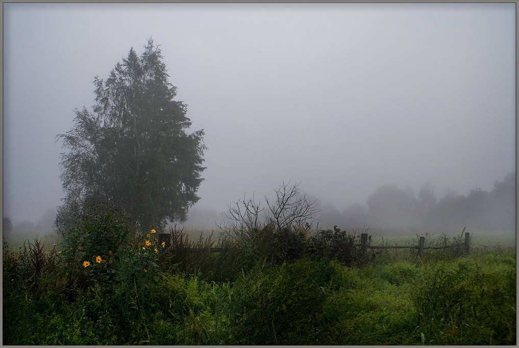 photo "Rainy morning" tags: landscape, autumn