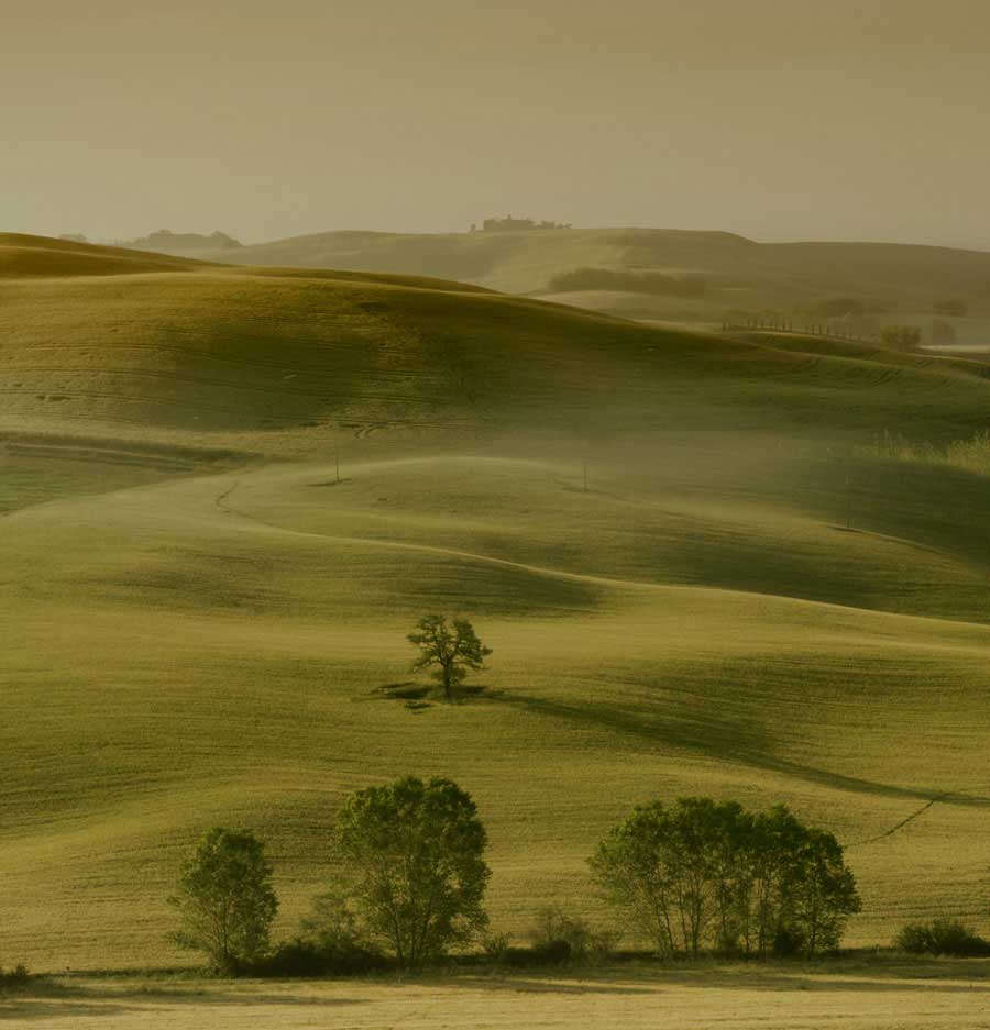 photo "Toscana" tags: landscape, 