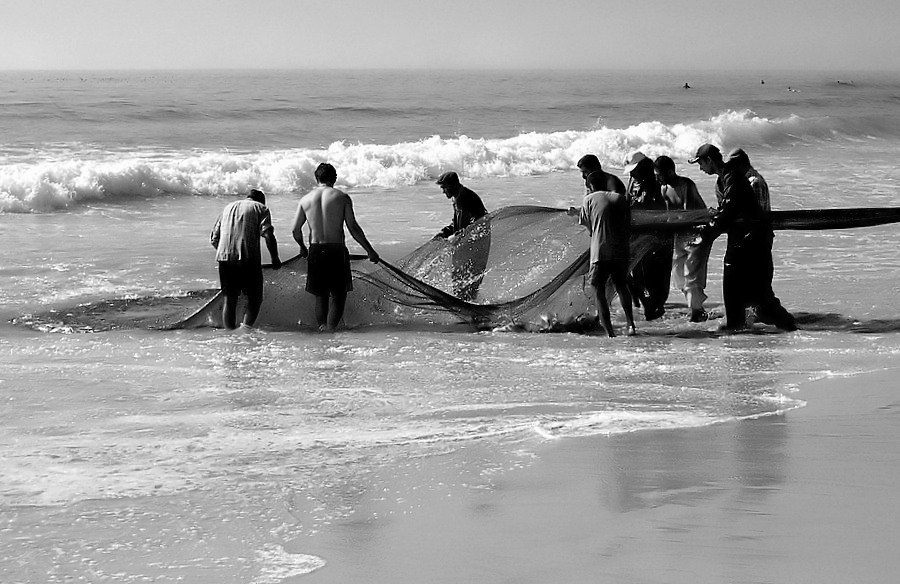 фото "A Hard Day Life..." метки: жанр, 