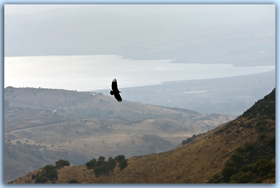 photo "***" tags: landscape, nature, mountains, wild animals