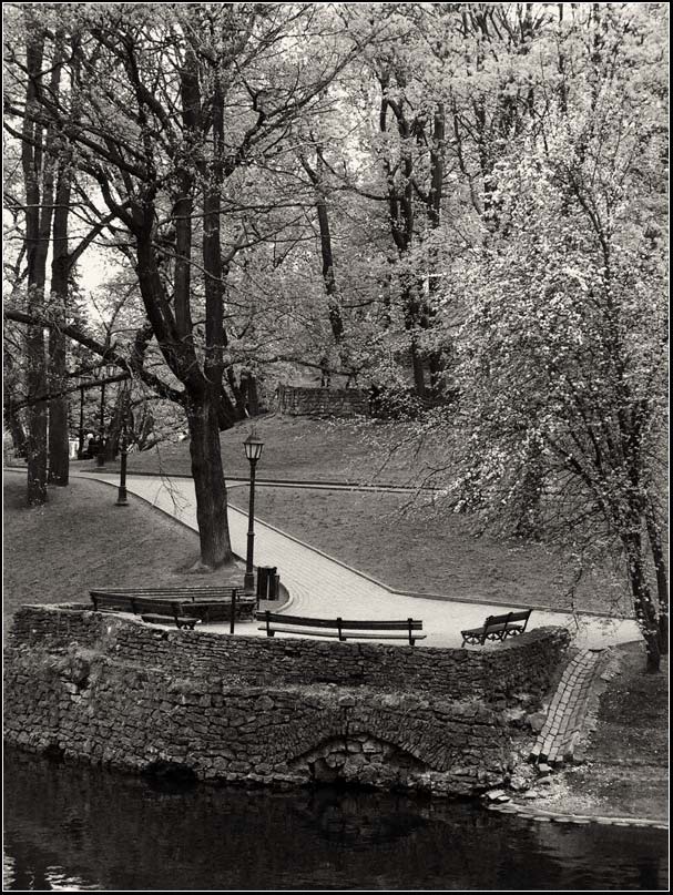 photo "***" tags: black&white, genre, 