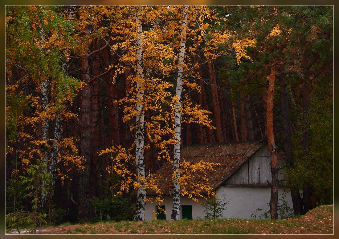 photo "***" tags: landscape, autumn