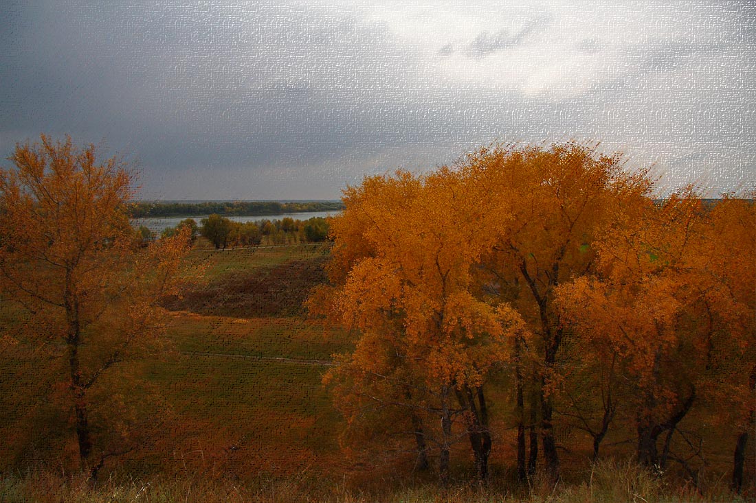 фото "Осень золотая..." метки: пейзаж, осень