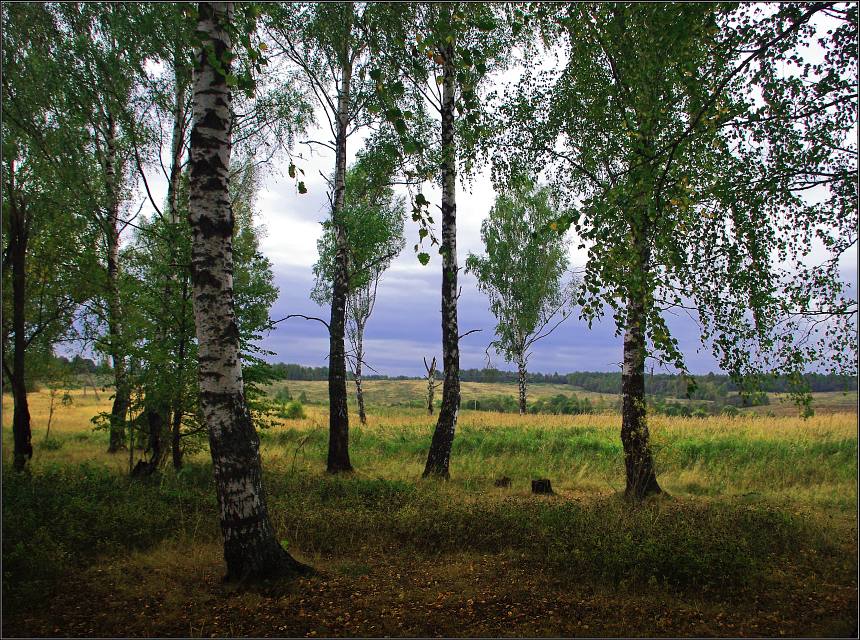 фото "Осенний этюд" метки: пейзаж, осень