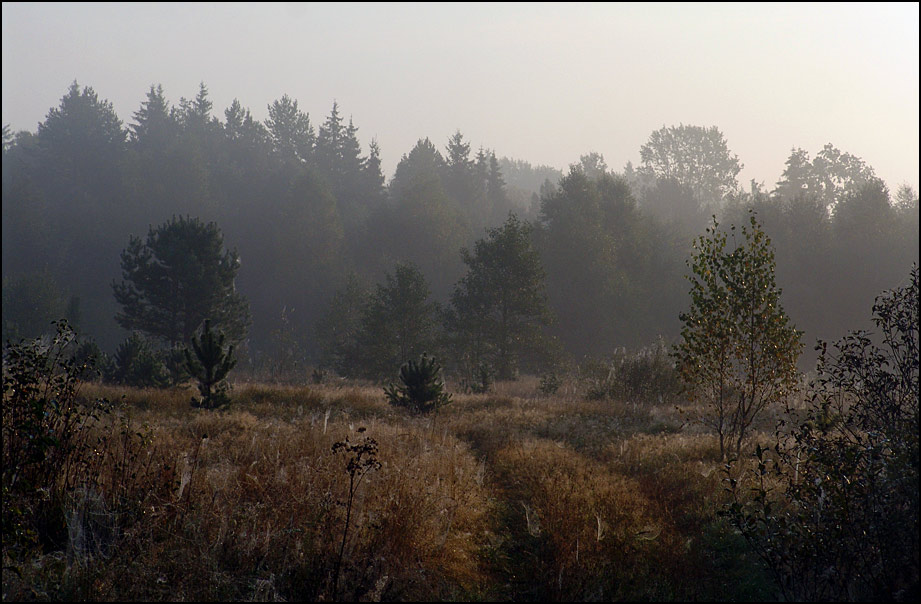 фото "Сентябрьское утро" метки: пейзаж, осень