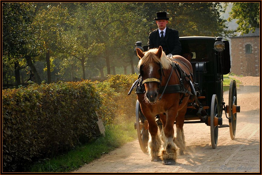 фото "Jeff the coachman" метки: репортаж, портрет, мужчина