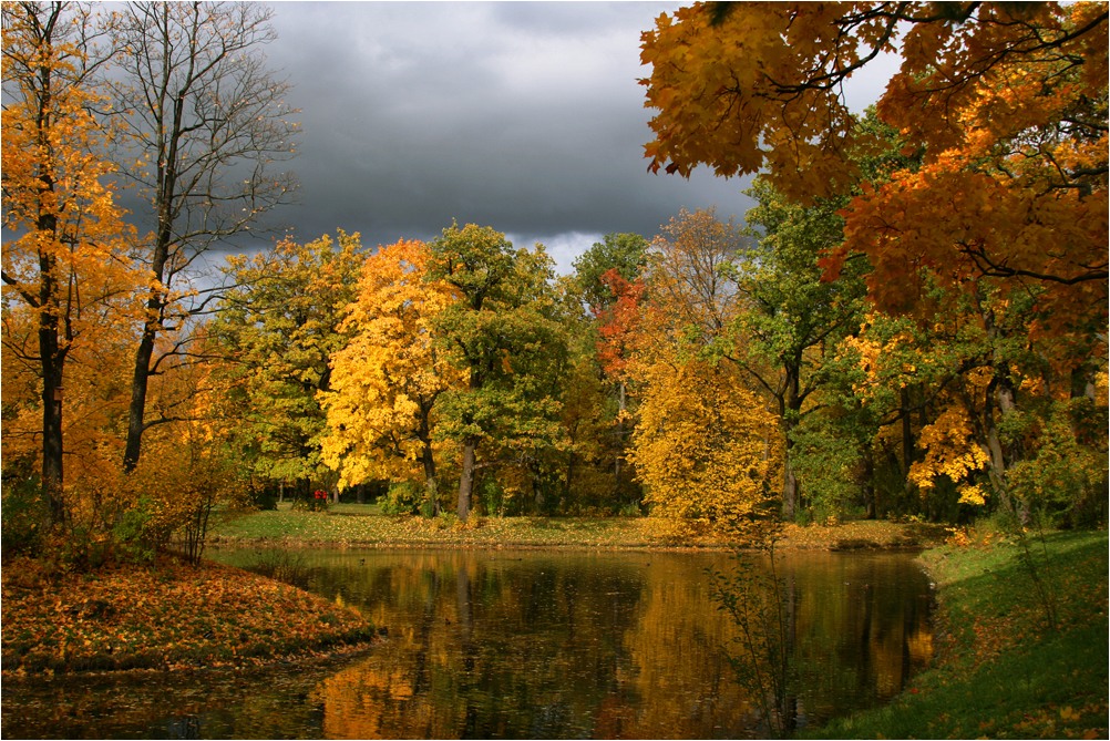 фото "Краски осени" метки: пейзаж, лес, осень
