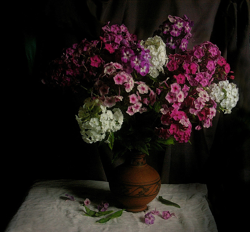 photo "***" tags: nature, still life, flowers