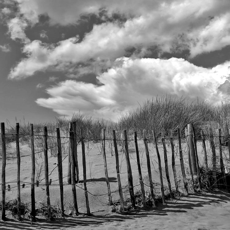 photo "...." tags: black&white, landscape, 