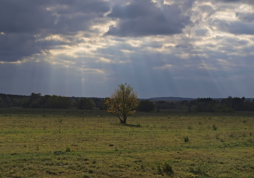 photo "***" tags: landscape, autumn, clouds