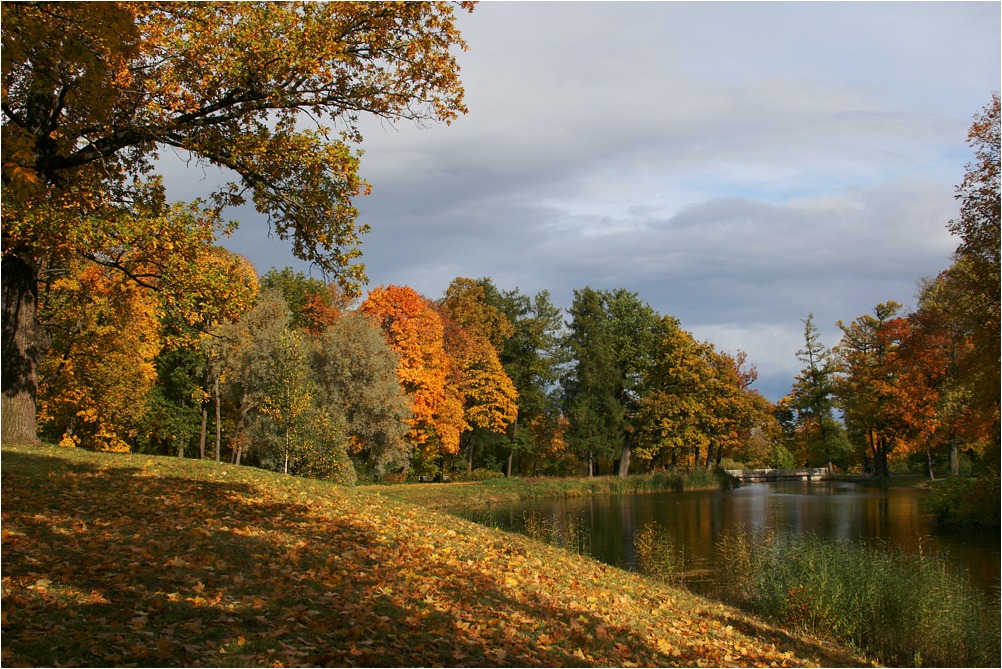 photo "Pictures of autumn" tags: landscape, autumn, forest