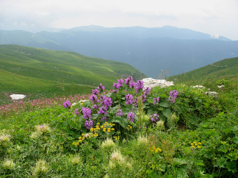 photo "The soul country" tags: landscape, mountains, summer