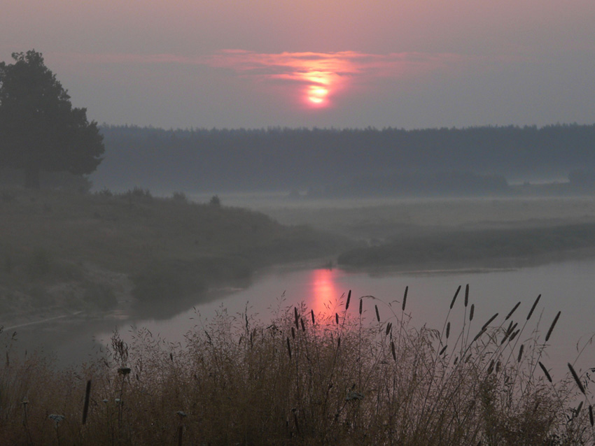 photo "***" tags: landscape, sunset