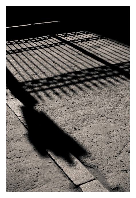 photo "The winterpalace shadow" tags: city, black&white, 