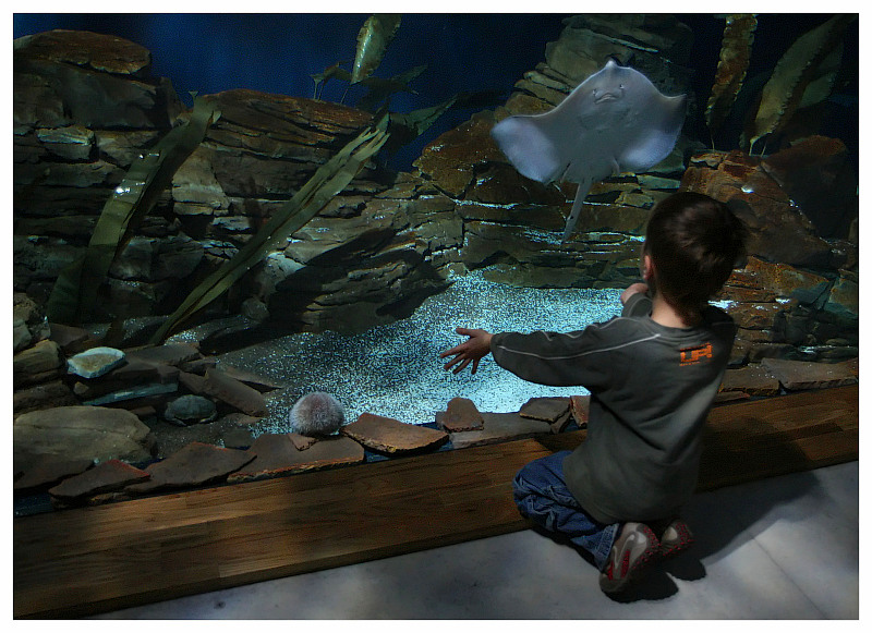 photo "ozeaneum" tags: landscape, water