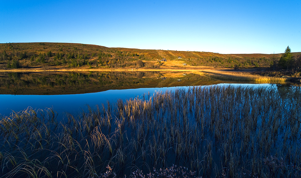 photo "Almost Fall" tags: landscape, autumn, sunset