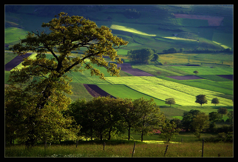 фото "My green Umbria" метки: пейзаж, 