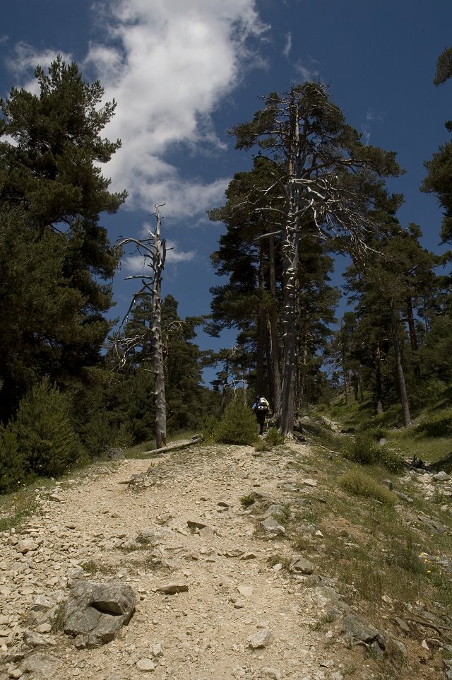 photo "Camino de Santiago de Compostella" tags: landscape, travel, Europe, mountains