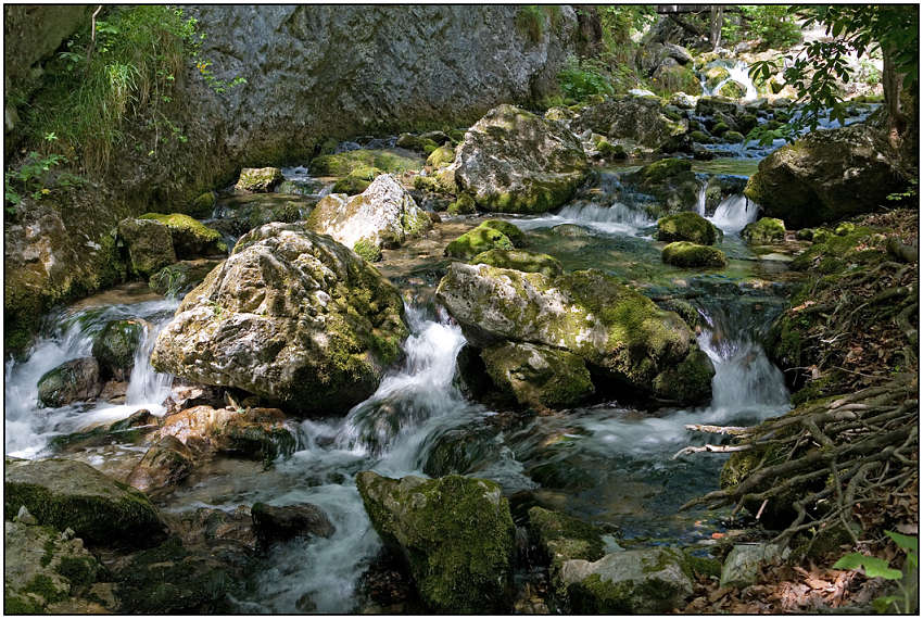 photo "Making the way through stones" tags: landscape, mountains, water