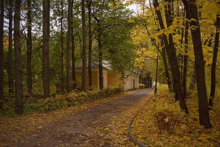 photo "***" tags: landscape, autumn