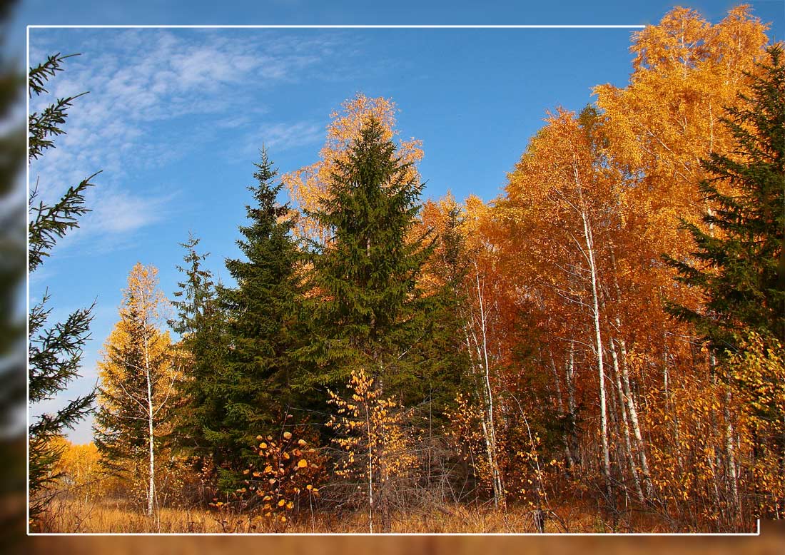 photo "***" tags: landscape, autumn