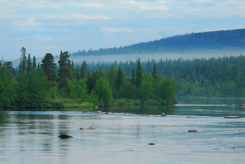 photo "***" tags: landscape, forest, water