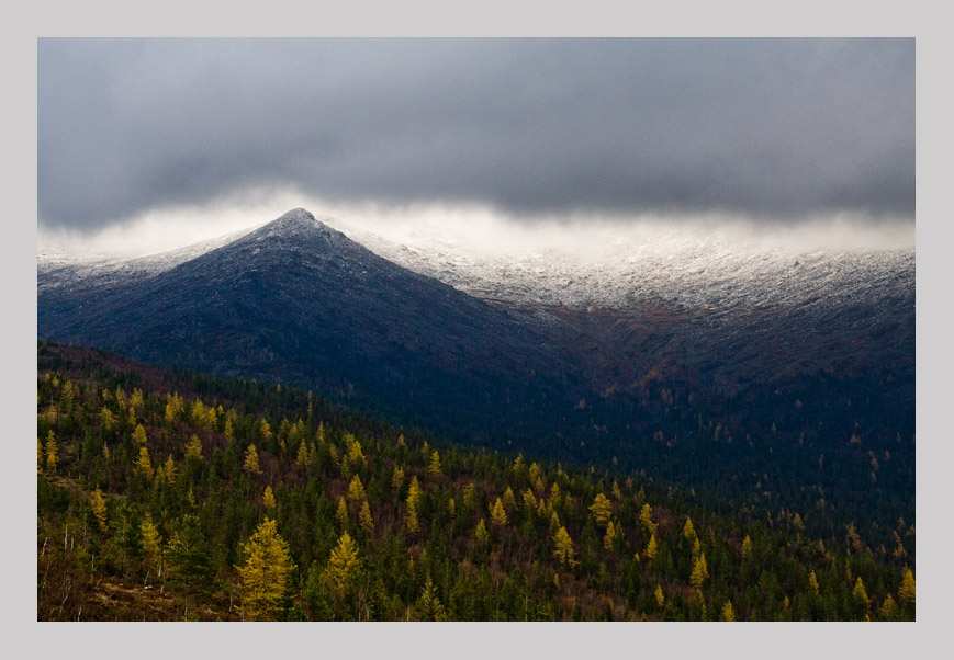 photo "***" tags: landscape, autumn, forest