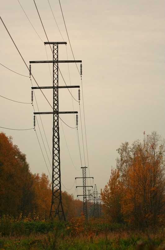 photo "***" tags: landscape, forest