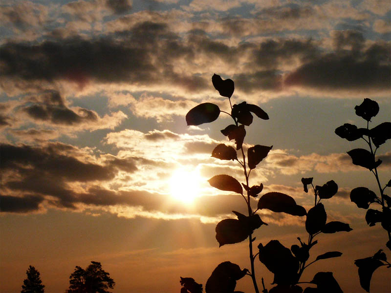 photo "***" tags: landscape, sunset