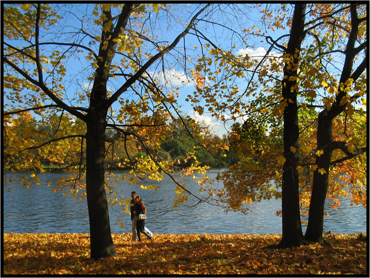 photo "Two in Autumn" tags: landscape, genre, autumn