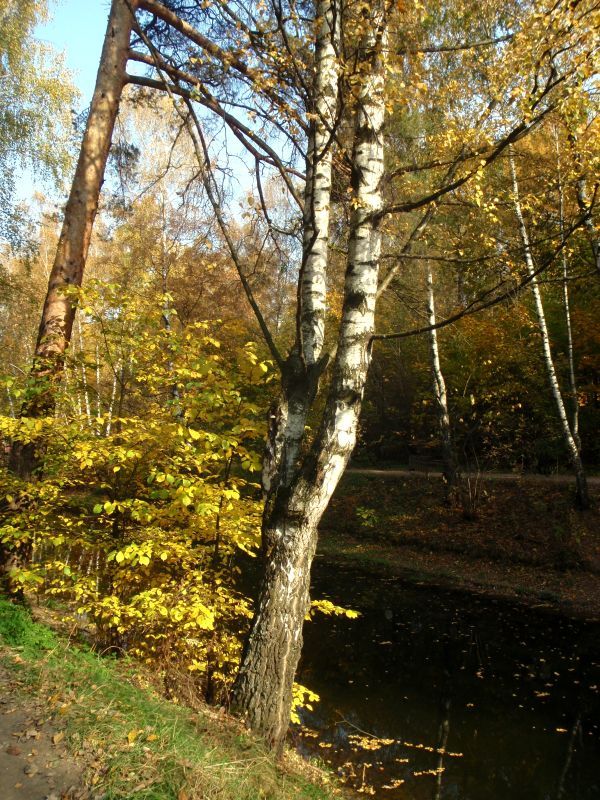 photo "***" tags: landscape, autumn