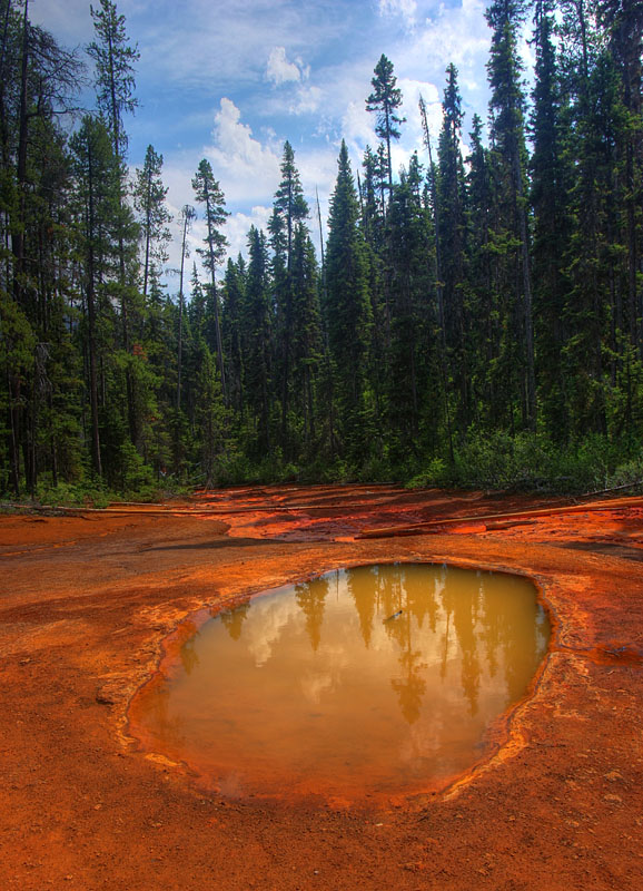 photo "Orange Reflections" tags: landscape, travel, 