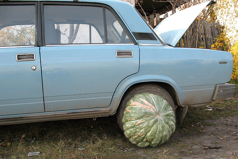 photo "When there is no spare wheel" tags: humor, 