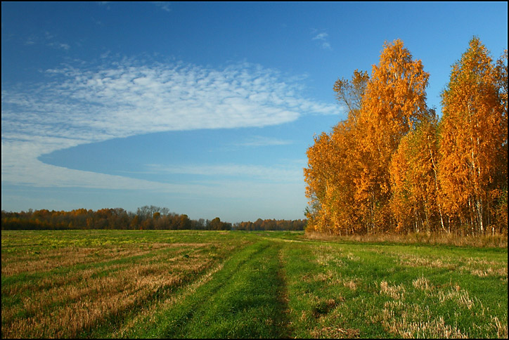 фото "Моя любимая осень (3)" метки: пейзаж, лес, осень