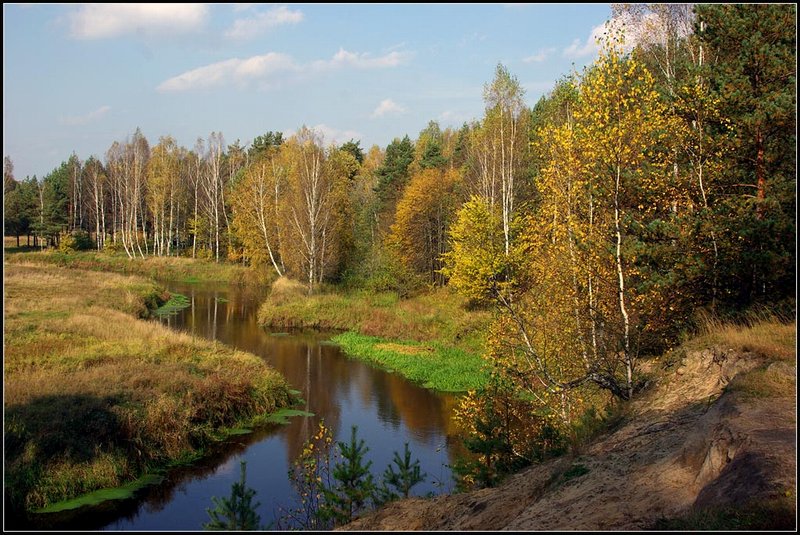 фото "просто красиво...просто осень" метки: пейзаж, лес, осень