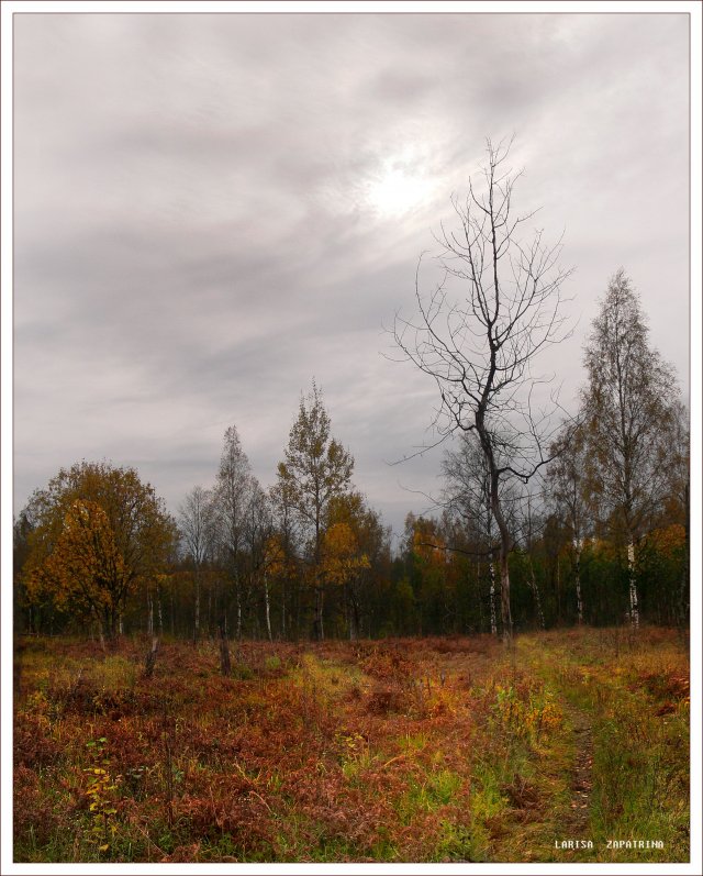 photo "***" tags: landscape, autumn