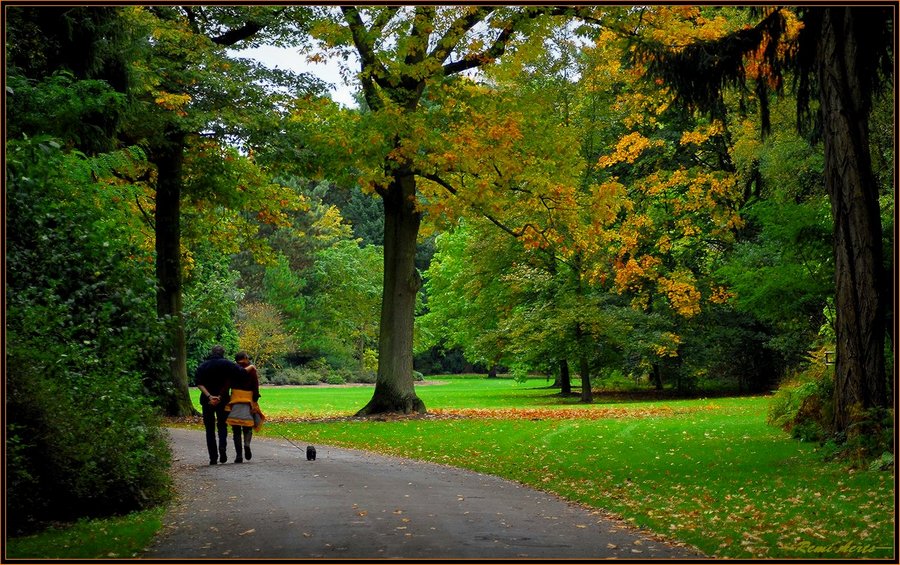 photo "end summer" tags: landscape, nature, autumn, flowers