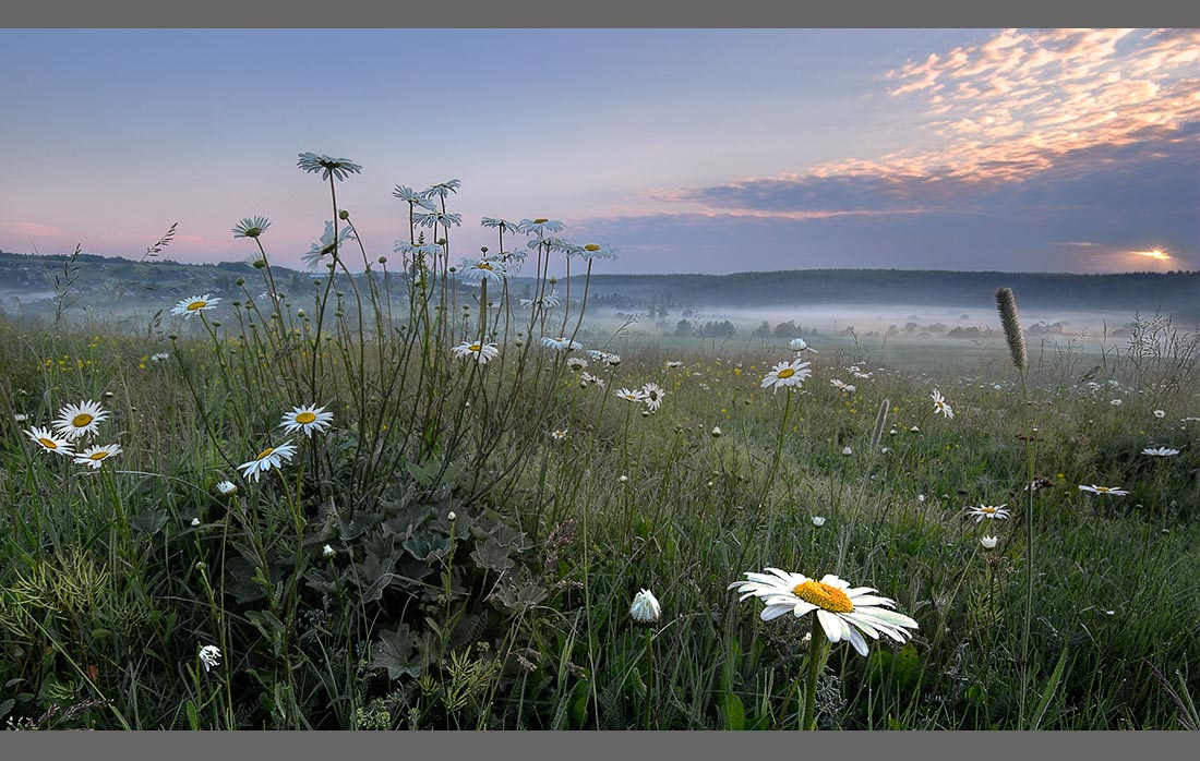 photo "***" tags: landscape, summer