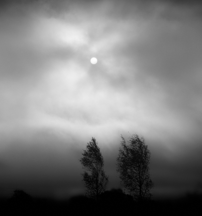 фото "Утренний туман октября" метки: пейзаж, осень